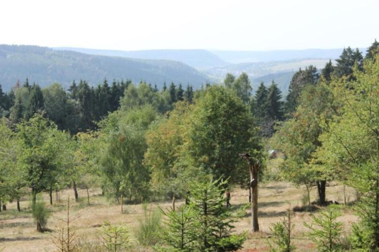 Gartenhaus - Dietzhaeuschen ซูล ภายนอก รูปภาพ